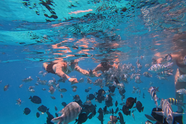 Depuis Hurghada : croisière à Sahl Hasheesh et snorkeling