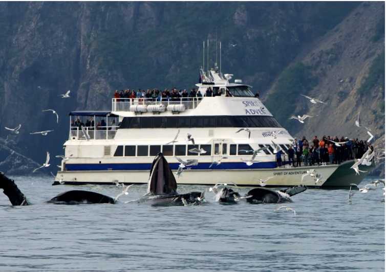 6 hour kenai fjords national park cruise