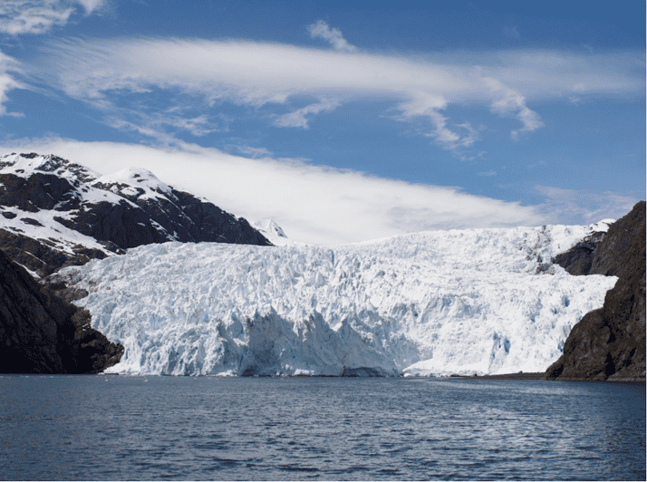 Seward Kenai Fjords National Park Hour Cruise Getyourguide