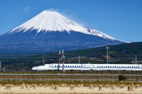 Da Tokyo: tour del Monte Fuji e Hakone con ritorno in treno proiettile