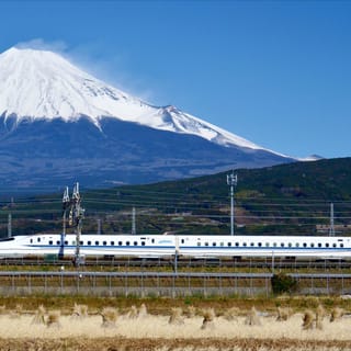 From Tokyo: Mt. Fuji & Hakone Tour with Lunch Option