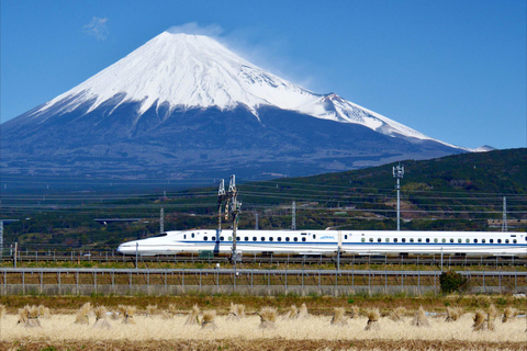 Depuis Tokyo : Excursion au Mont Fuji et à Hakone avec retour en train BulletRetour en train Bullet Shinkansen avec déjeuner inclus