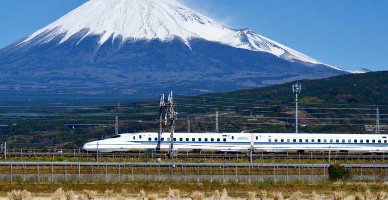 Da Tokyo: Tour del Monte Fuji e di Hakone con ritorno in treno panoramico