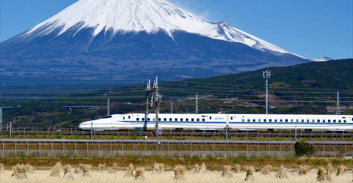 mount fuji and hakone tour (inc. bullet train)