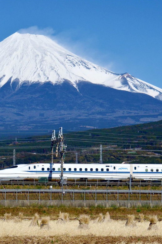 From Tokyo Mt. Fuji Hakone Tour w Return by Bullet Train