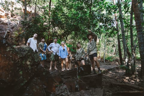 From Darwin: Kakadu Park 3-Day Cultural Rock Art Tour