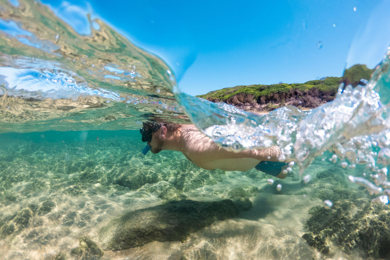 From Maputo: 2-Day Safari & Ocean Hideaway at Maputo Reserve