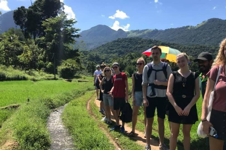 Sri Lanka: 4-tägige Tour Antike Ruinen, Wildtiere, Bergland