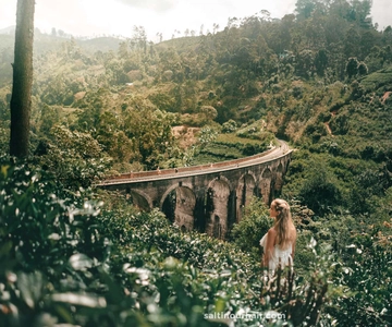 From Galle/Weligama/Mirissa: Day Trip to Ella Highlands