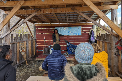 Da Skagway: Combinazione Yukon Sled Dog Mushing e White PassDa Skagway: Yukon Sled Dogs e White Pass Summit Tour