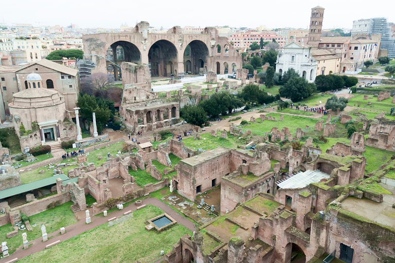 Tour privado del Coliseo y del Foro Romano con recogida en el hotel