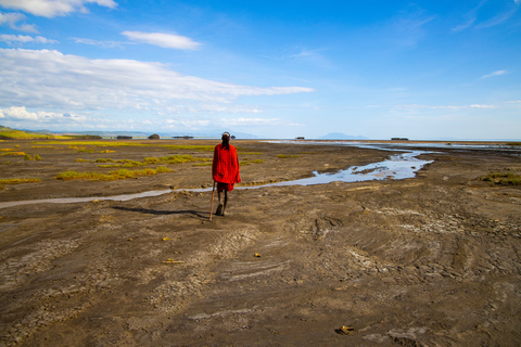 Van Arusha: rijd en vlieg terug Safari Tarangire & Serengeti