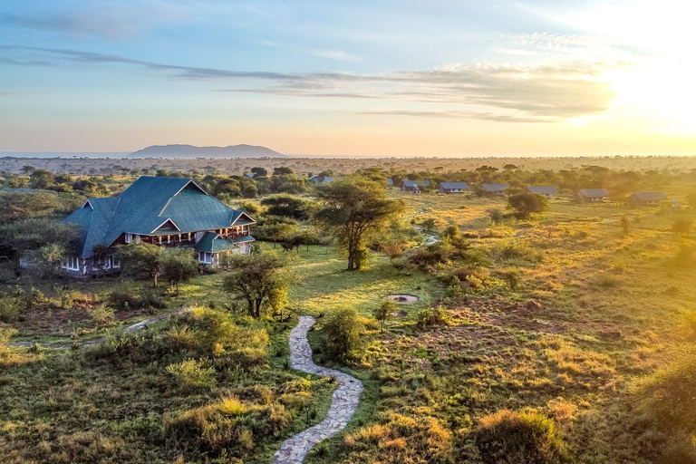 Au départ d'Arusha : Safari en voiture et en avion Tarangire et Serengeti.