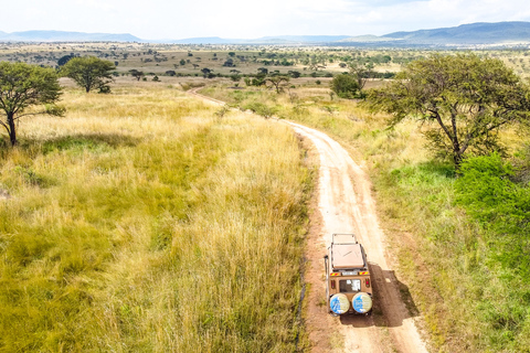 Au départ d'Arusha : Safari en voiture et en avion Tarangire et Serengeti.