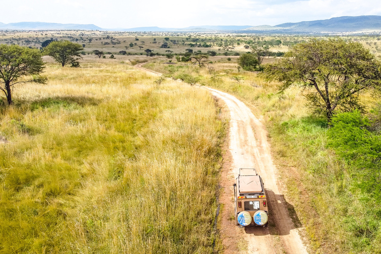 From Arusha: Drive and Fly Back Safari Tarangire & Serengeti