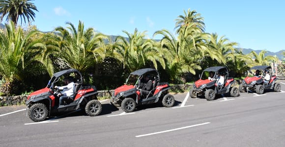 La Palma: 3-Hour Volcanic Coast Tour Priced per Buggy for 2