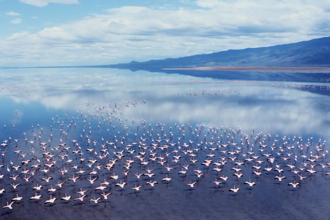 Desde Arusha: Safari de 3 días en Tarangire y el Mágico Lago Natron