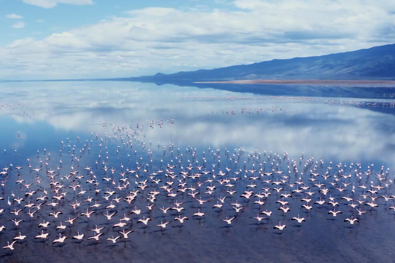 Van Arusha: driedaagse safari in Tarangire en het magische Lake Natron