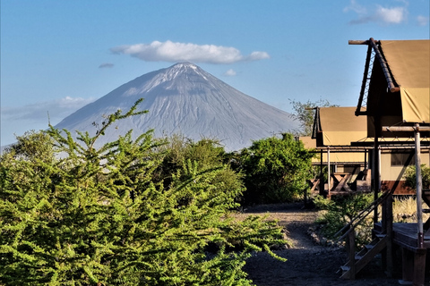 Van Arusha: driedaagse safari in Tarangire en het magische Lake Natron