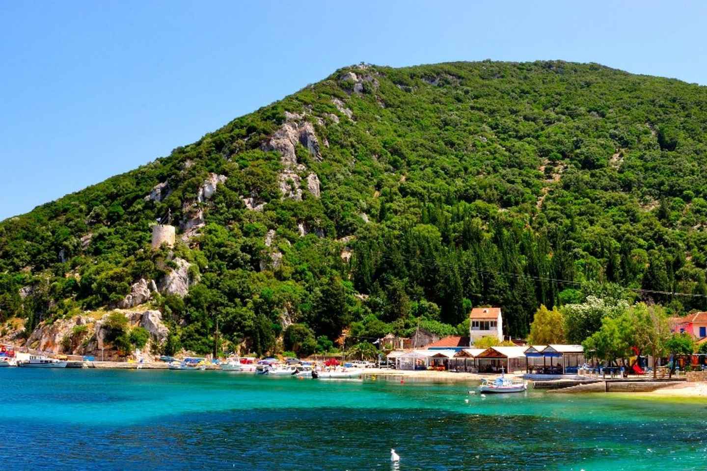 Da Cefalonia: Gita a Itaca con Sosta per Nuotare