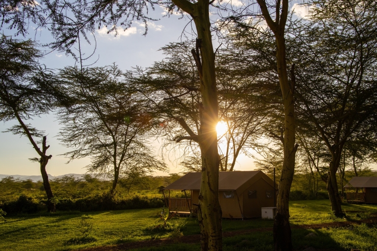 Ab Arusha: 3-tägige Pirschfahrt Tarangire & Ngorongoro-Krater