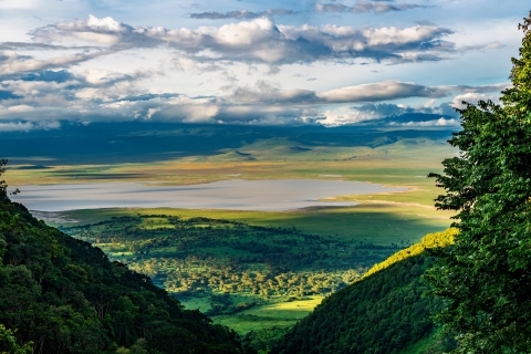 Van Arusha: driedaagse safari Tarangire, Ngorongoro en Manyara