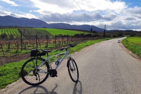 Corinth and Nemea: E-bike tour to ancient vineyards