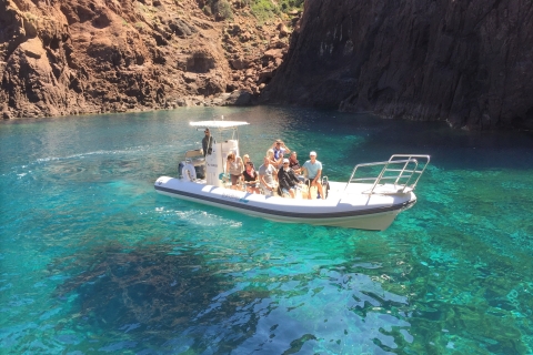 From Cargèse: Scandola Half-Day Tour by RIB boat with stops Morning tour