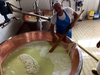 De Bologne, Emilia Excellence Food Tour - Hizvo