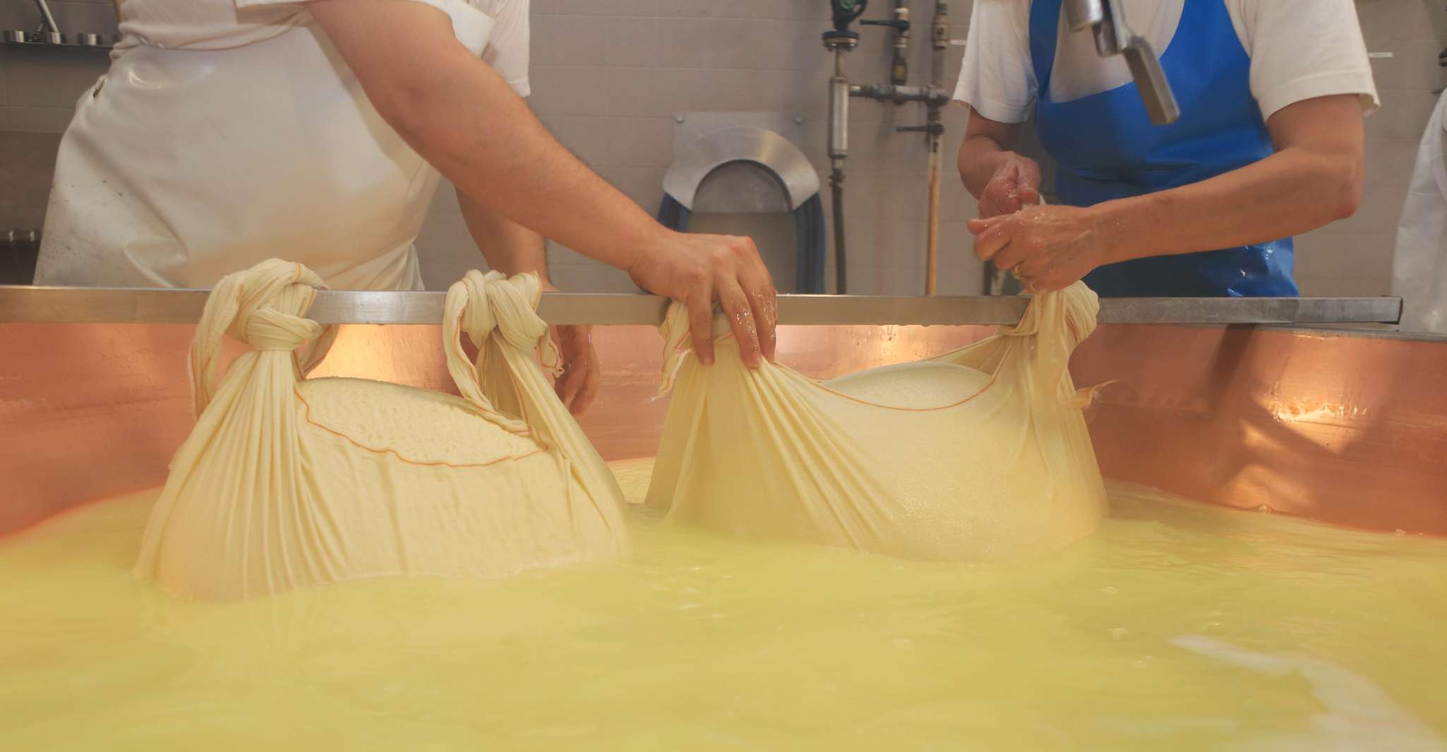 Von Bologna, Emilia Excellence Food Tour - Hizvo
