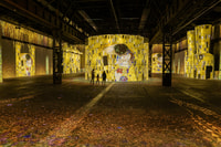 Dortmund, Phoenix des Lumières Biglietto d'ingresso - Hizvo