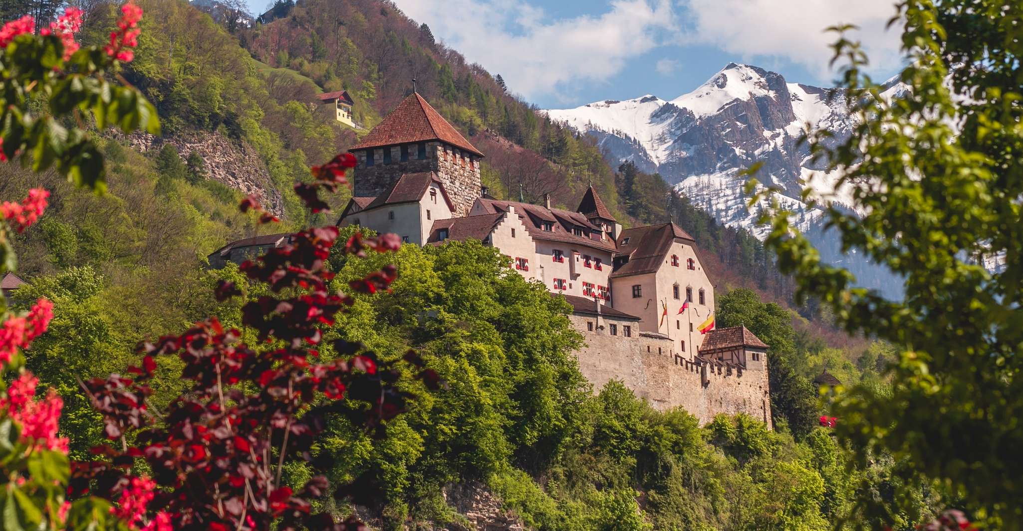 Vaduz, Express Walk met een Local in 60 minuten - Hizvo
