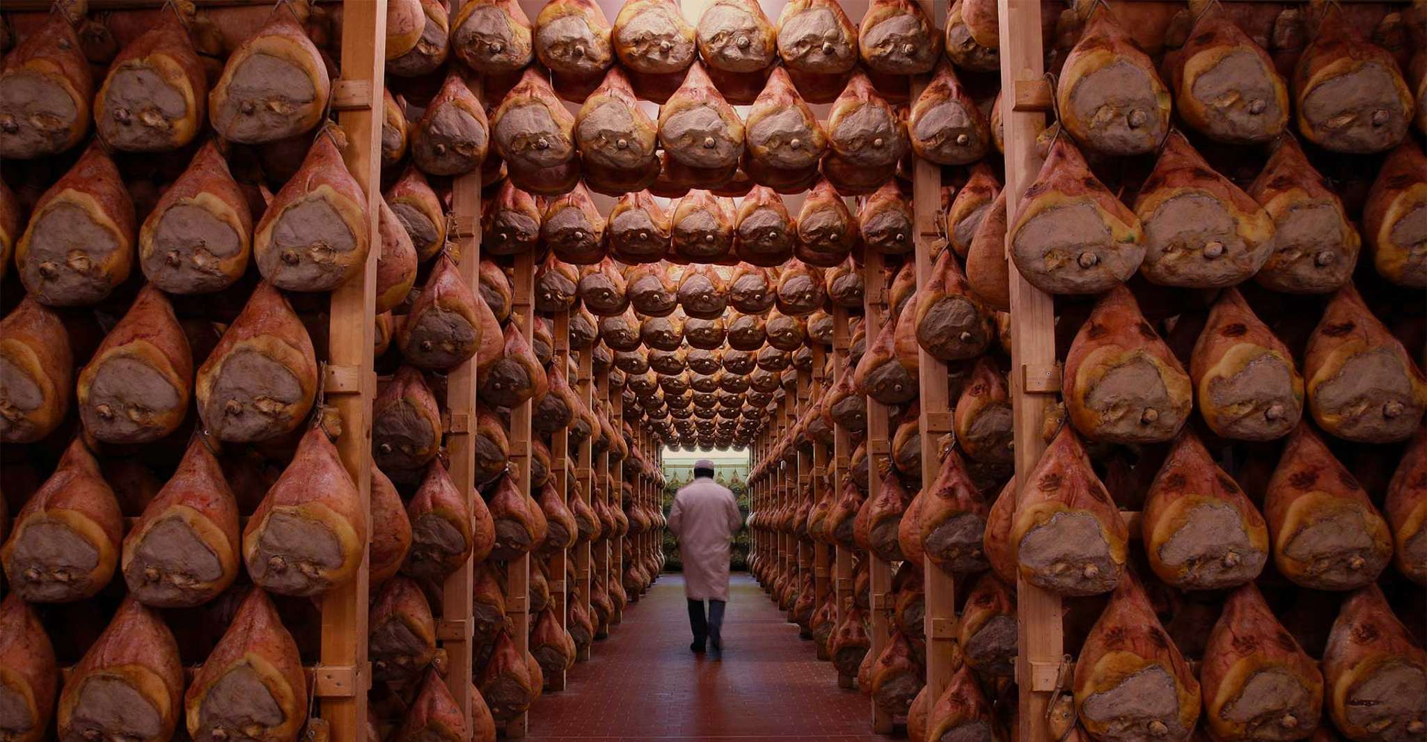 From Bologna, Parma Cheese & Ham Factory Tours and Tastings - Housity