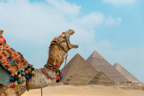 Cairo: Giza Pyramids, Sphinx and Valley Temple Guided TourPrivate Tour including Transfers, Eng Guide, and Entrance