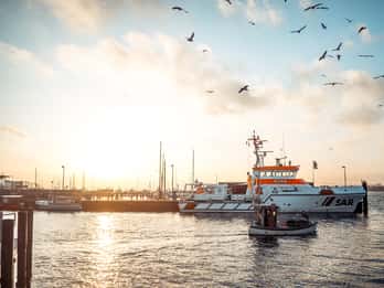 Kiel: City Highlights Express Walking Tour with a Local
