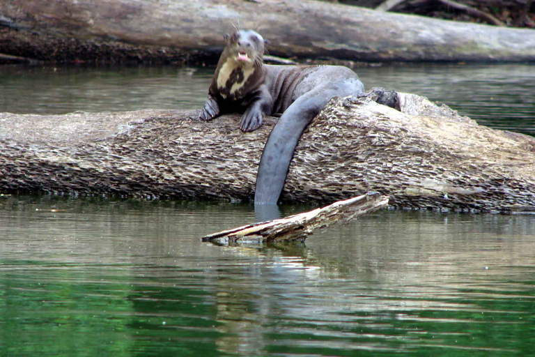 Tambopata: Canoagem no Lago Sandoval com almoçoPuerto Maldonado: Canoagem no Lago Sandoval com almoço