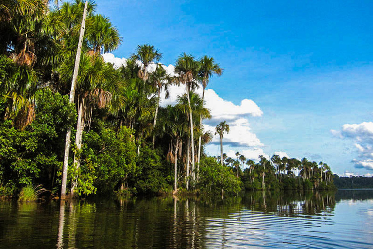 Tambopata: Canoagem no Lago Sandoval com almoçoPuerto Maldonado: Canoagem no Lago Sandoval com almoço