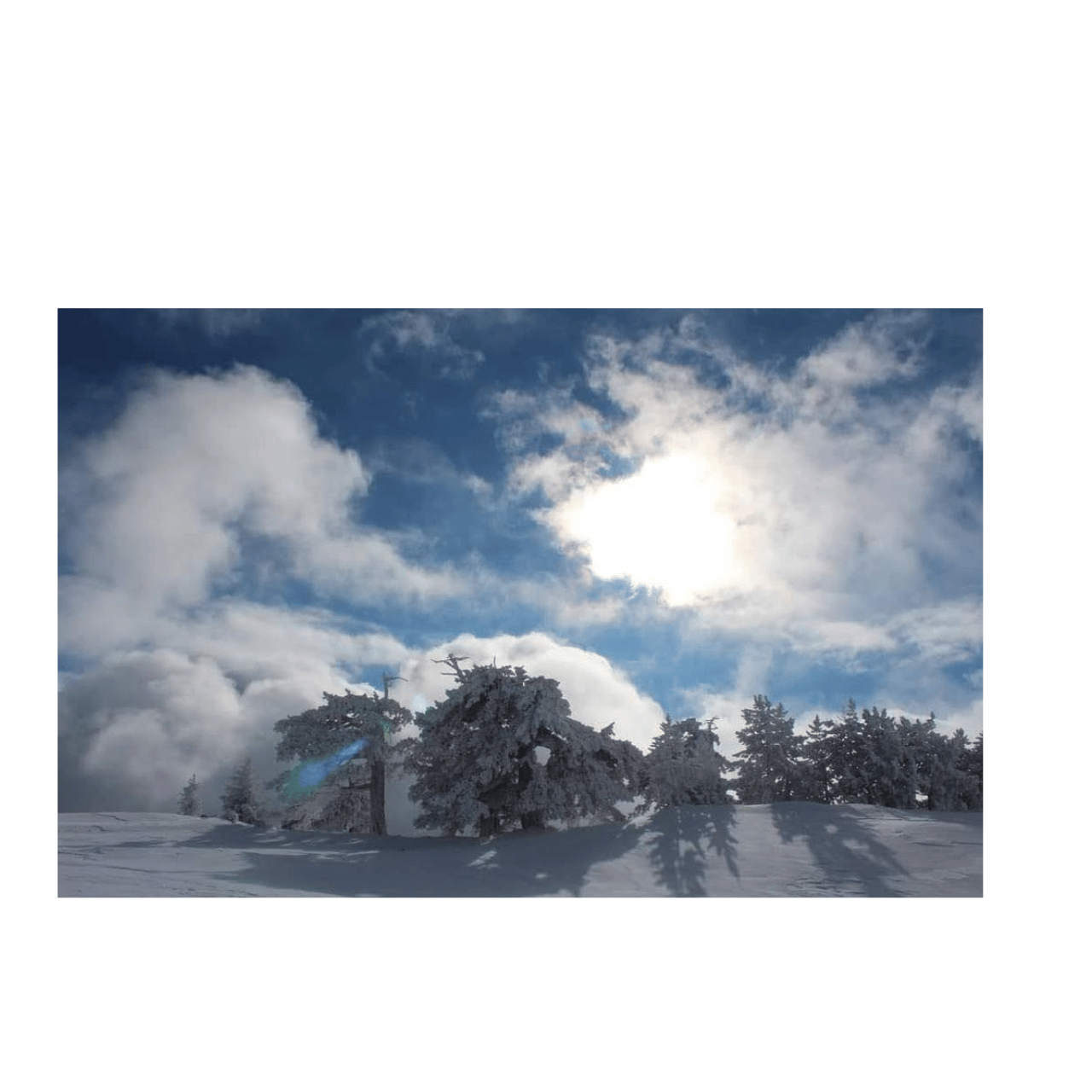 Schneeschuhwandern im Pollino-Nationalpark
