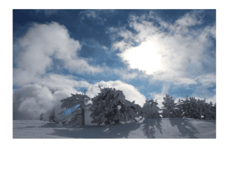 Snowshoeing in the Pollino National Park