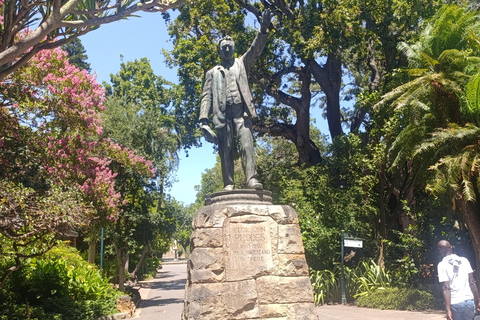 Cape Town: Apartheid History and City Walking Tour