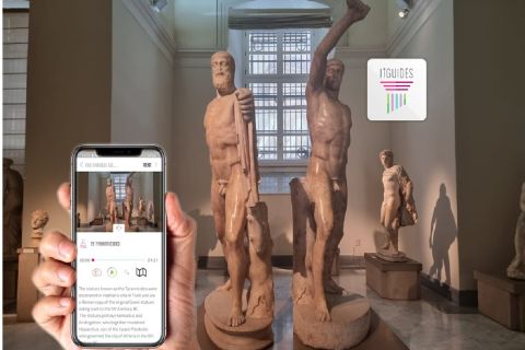 Naples: National Archaeological Museum self guided tour