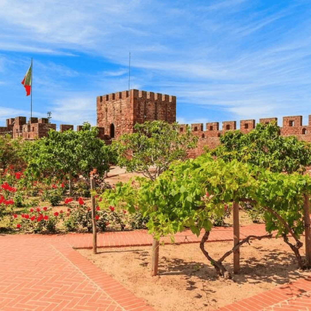 Colagem de mídia