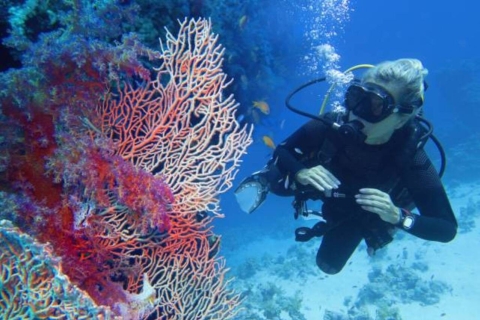 Sharm El Sheikh: 4-Days Junior PADI Diver Course