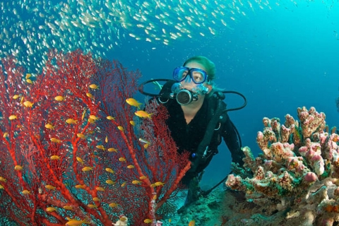 Sharm El Sheikh: 4-dniowy kurs Junior PADI Diver