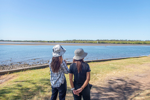 Brisbane: Kangaroos, Birds and Mangroves Coastal Tour Brisbane: Kangaroos, Birds & Mangroves Coastal Private Tour