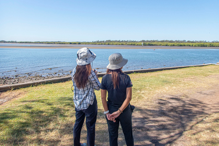 Brisbane: Kangaroos, Birds and Mangroves Coastal Tour Brisbane: Kangaroos, Birds & Mangroves Coastal Private Tour