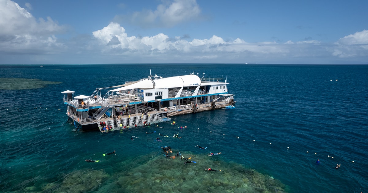 Cairns Great Barrier Reef Bootsfahrt Wasseraktivitäten GetYourGuide