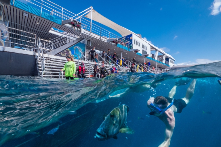 Ultieme cruise op het Great Barrier Reef met Marine World PontoonCruise met Marine Marine World Pontoon & Introductory Dive