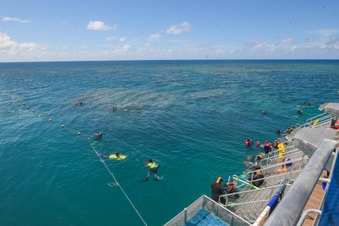 Ultimate Great Barrier Reef Cruise with Marine World Pontoon Cruise with Marine Marine World Pontoon & Certified Dive