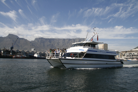 Kaapstad: luxe cruise bij zonsondergang van 1,5 uur met wijn